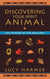 Discovering Your Spirit Animal - The Wisdom of the Shamans