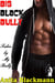 Big Black Bully: Taken By My Bully - Big Black Bully, #4