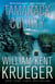 Tamarack County - A Novel