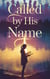Called by His Name - Young Adult Fiction: Religious – Christian -General, #4