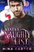 Santa's Naughty List - Paranormal Protection Agency: Santa Elves, #2