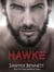 Hawke - A Cold Fury Hockey Novel