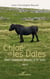 Chloé et les Dales - <i>Des chevaux élevés à la voix</i>