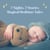 7 Nights, 7 Stories: Magical Bedtime Tales