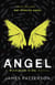 Angel: A Maximum Ride Novel - (Maximum Ride 7)
