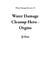 Water Damage Cleanup Hero - Orgins - Water Damage Rescues, #1