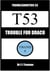 Trouble for Draco (Troubleshooters 53)