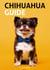 Chihuahua Guide
