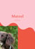Mutzel - und sein neues Zuhause