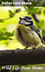 Wild Life Near Home