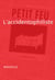 L'accidentophiliste - Nouvelle - Petit feu