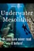 Underwater Mesolithic: As you have never read it before