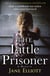 The Little Prisoner - How a childhood was stolen and a trust betrayed