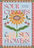 Sour Cherries and Sunflowers - A Taste of Home | Recipes from Eastern Europe and Beyond