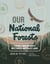 Our National Forests - Stories from America's Most Important Public Lands