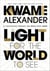 Light For The World To See - A Thousand Words on Race and Hope