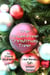 The Tinsel-Free Christmas Tree - Alfred and Bertha's Marvellous Twenty-First Century Life, #3