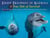Eight Dolphins of Katrina - A True Tale of Survival