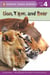 Lion, Tiger, and Bear