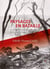 Paysages en bataille - Les séquelles environnementales de la Grande Guerre