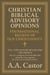 Christian Biblical Advisory Opinions: Foundational Beliefs of Old Christianity - VOL. I THE NATURE OF GOD AND THE TRINITY - Foundational Beliefs of Old Christianity, #1
