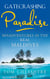Gatecrashing Paradise - Misadventure in the Real Maldives