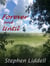 Forever and Until (Book Three of the Timeless Trilogy)