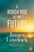 A Rough Ride to the Future