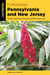 Foraging Pennsylvania and New Jersey - Finding, Identifying, and Preparing Edible Wild Foods