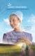 A Summer Amish Courtship