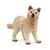 Wild life louveteau arctique - Schleich