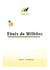 FÊNIX DE MILHÕES