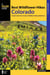 Best Wildflower Hikes Colorado - A Guide to the Area's Greatest Wildflower Hiking Adventures
