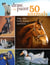 Draw and Paint 50 Animals - Dogs, Cats, Birds, Horses and More