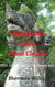 Freedom Sex and a Meat Cleaver: Wild Adventures in Southeast Asia