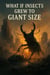 What If Insects Grew to Giant Size - What If, #1