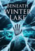 Beneath Winter Lake