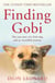 Finding Gobi (Main Edition) - The True Story of a Little Dog and an Incredible Journey