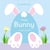 Happy Bunny Counting Book