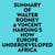 Summary of Walter Rodney & Vincent Harding's How Europe Underdeveloped Africa