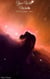 You Will Wait - An Echo In Subspace, #1