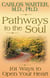 Pathways to the Soul - 101 Ways to Open Your Heart
