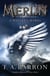 The Wizard's Wings - Book 5