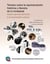 Temario sobre la representación histórica y literaria de lo inmaterial - Nueve aproximaciones a la diversidad cultural