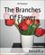 The Branches Of Flower