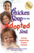 Chicken Soup for the Adopted Soul - Stories Celebrating Forever Families