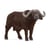 Buffle d’Afrique - Schleich