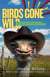 Birds Gone Wild (And Other Stories of Arizona Ostrich Ranching)
