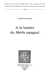 A la Lumière du Merlin espagnol