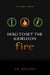 How to Set the World on Fire - How to Set the World on Fire, #1